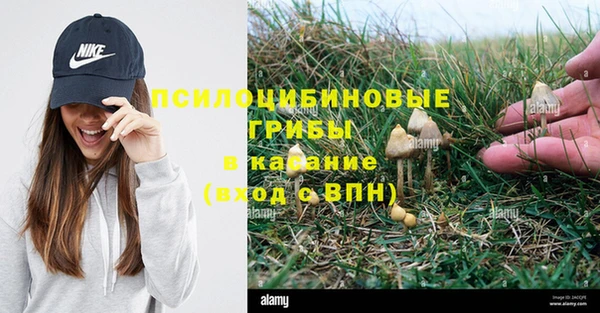 МДПВ Белокуриха
