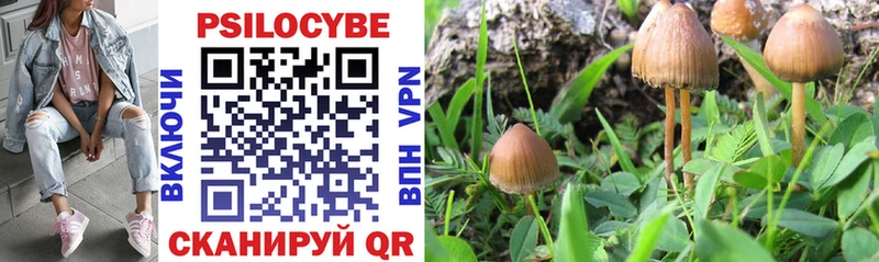 Галлюциногенные грибы Magic Shrooms  где можно купить наркотик  Сенгилей 